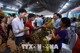 Ouverture de la Fête des longanes de Hung Yên 2018