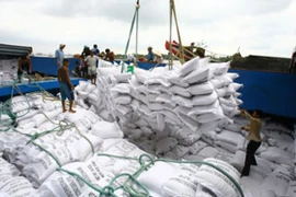 Vers la mise en place d’un label pour le riz vietnamien