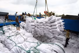 Vers la mise en place d’un label pour le riz vietnamien