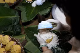 Tranh Khuc, village de confection du Banh chung