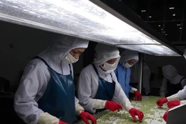 Création de 885 nouvelles entreprises agricoles au premier semestre