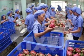 Pour renforcer les exportations de produits agricoles vietnamiens en R. de Corée