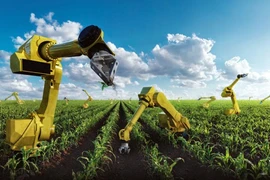 Des sociétés étrangères cherchent des opportunités d’investir dans l’agriculture high-tech