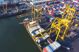 Des investisseurs néerlandais veulent investir dans les infrastructures portuaires au Vietnam