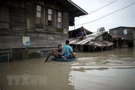 Typhon Mangkhut: messages de sympathie des dirigeants vietnamiens au président philippin 