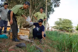 Des mesures pour préserver la biodiversité du parc national d’U Minh Thuong