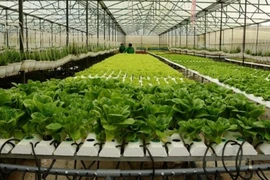 Accélération de l’application de la révolution industrielle 4.0 dans l’agriculture