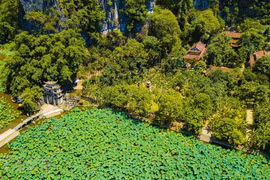 Tam Coc-Bich Dong à la saison des lotus