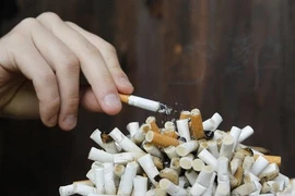 Partage des expériences dans la communication sur la lutte contre les méfaits du tabagisme
