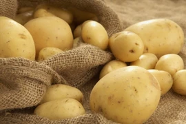 Vietnam, marché prometteur pour les exportateurs étrangers de pommes de terre