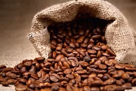 Le marché du café va s’animer grâce à une amélioration du prix d’exportation 