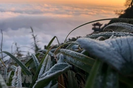 Le mont Fansipan couvert de givre