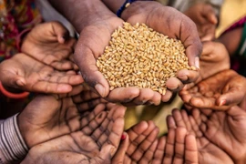 ONU: Le Vietnam appelle à la sécurité alimentaire pour promouvoir la paix et le développement