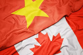 Les relations Vietnam-Canada en 2020 se développent pour surmonter la pandémie