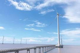 Énergies renouvelables: le delta du Mékong attractif pour les investissements étrangers