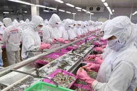 Pour que le Vietnam devienne un centre mondial de transformation des produits aquatiques