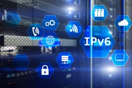 Le Vietnam se hisse au 8e rang mondial pour sa transition vers IPv6