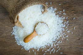 Cambodge : forte baisse des exportations de riz en janvier 