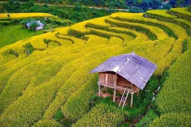 Beauté des attractions touristiques peu connues à Cao Bang