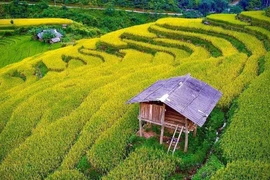 Beauté des attractions touristiques peu connues à Cao Bang