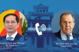 Le Vietnam appelle les parties au conflit en Ukraine à la retenue