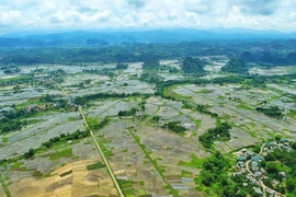 Paysage naturel paisible dans un village de la minorité ethnique Muong à Hoa Binh