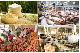 Produits agricoles-sylvicoles-aquatiques: exportation excédentaire de 3,19 mlds d'USD en 10 mois