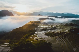 Thanh Hoa: À la découverte de la Réserve naturelle de Pù Luông