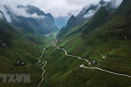 Les Journées du Vietnam en Suisse 2021 auront lieu en ligne en octobre