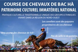 Course de chevaux de Bac Hà: Patrimoine culturel immatériel national 