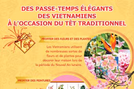 Des passe-temps élégants des Vietnamiens à l'occasion du Têt traditionnel
