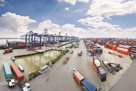 Hô Chi Minh-Ville développe ses relations avec l'Argentine