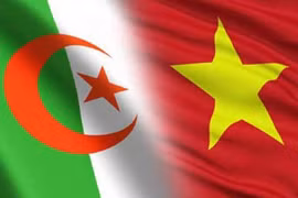 Le Vietnam et l’Algérie cultivent de bonnes relations d’amitié traditionnelles
