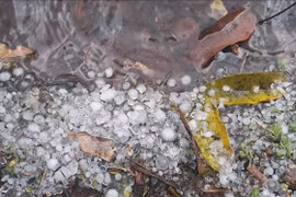 La grêle cause de lourds dégâts à Son La