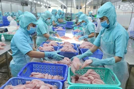 Janvier: 644 millions de dollars d’exportation de produits aquatiques