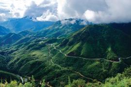 Aide américaine pour la gestion forestière et la conservation de la biodiversité à Lao Cai