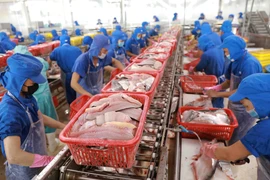 Les exportations de produits aquatiques en hausse de 43,7% en quatre mois