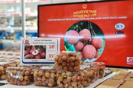 Promouvoir le rôle des Viêt kiêu dans la promotion des produits vietnamiens à l'étranger