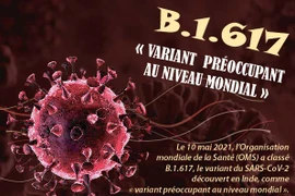 B.1.617 - « variant préoccupant au niveau mondial »
