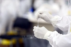 COVID-19 : 24 nouveaux cas détectés au cours des 12 dernières heures