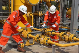 Le Japon et l'Indonésie signent un protocole d'accord sur le commerce de gaz