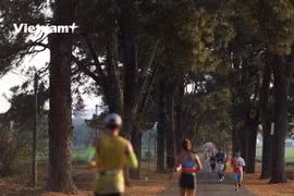 Le Championnat national de marathon de Tien Phong 2021 débute à Gia Lai