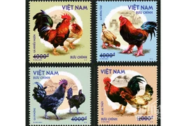Émission d'une collection de timbres sur les "races de poulets indigènes du Vietnam"