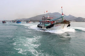 Pêche INN: Thanh Hoa s'efforce de supprimer le "carton jaune" de la CE