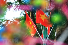 Hanoï bien décorée pour les célébrations de la Fête nationale