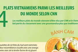 Quatre plats vietnamiens parmi les meilleurs du monde selon CNN