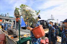 Des cadeaux du Têt en direction de Truong Sa