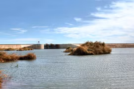 Le fleuve Ray, une nouvelle destination à ne pas rater à Dông Nai