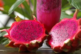 Semaine de promotion du fruit du dragon à chair rouge vietnamien en Australie