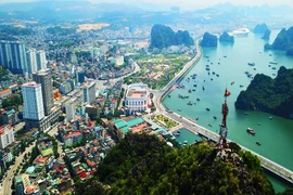 Quang Ninh : réunion en ligne sur les mesures d'urgence contre le COVID-19